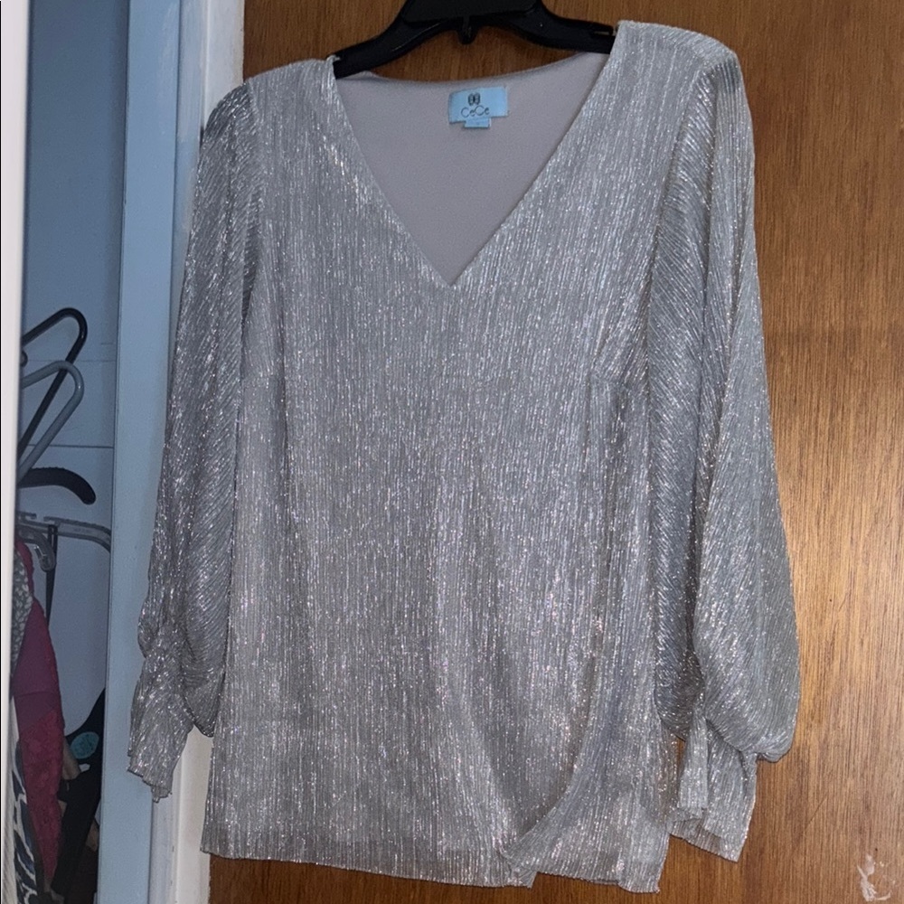 Silver Women's Top Blouse